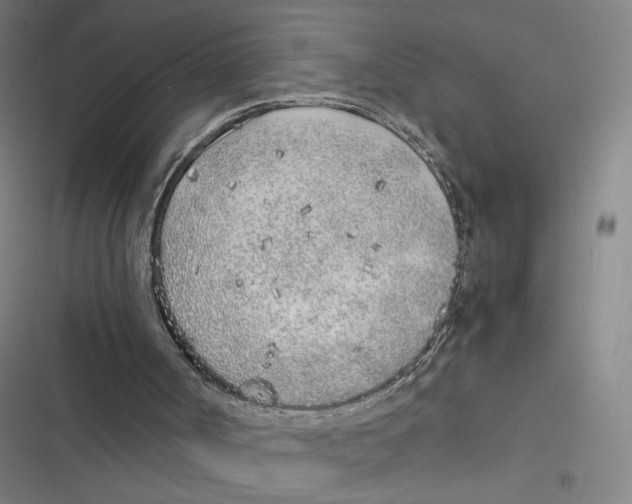 X0000116620002201001081241