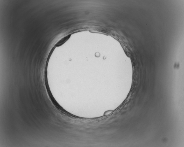 X0000116620003201001081241