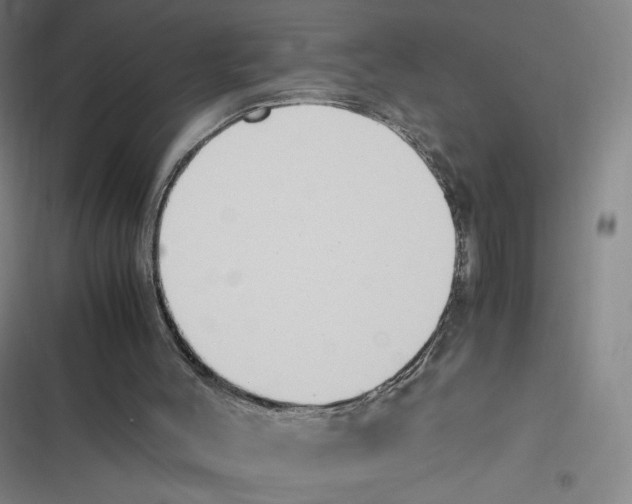 X0000116620004201001081241