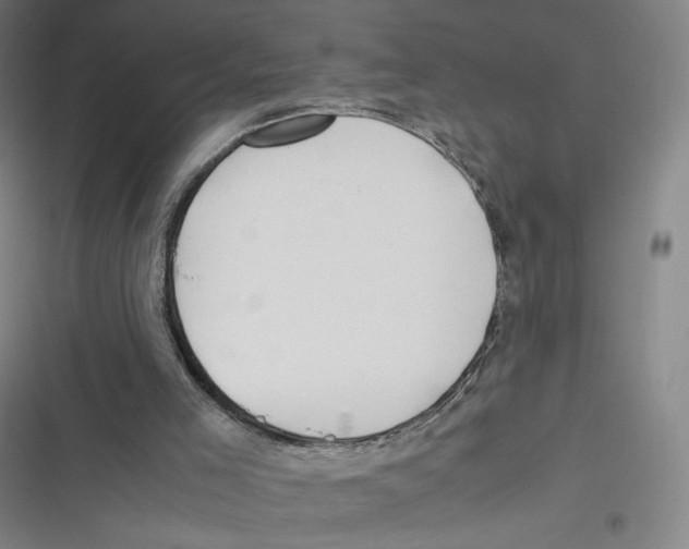 X0000116620005201001081241