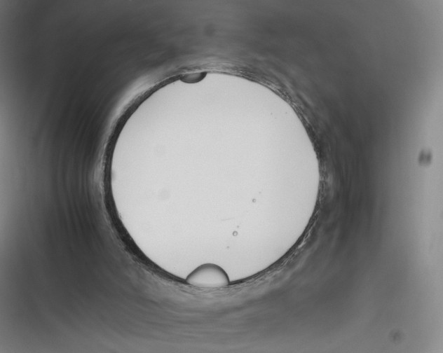 X0000116620006201001081241