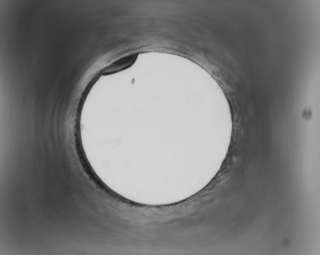 X0000116620007201001081241