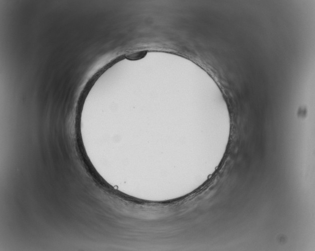 X0000116620008201001081241