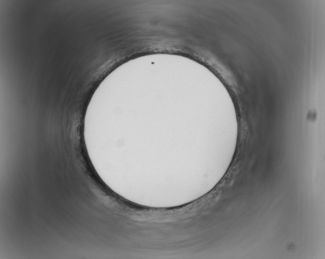 X0000116620009201001081241