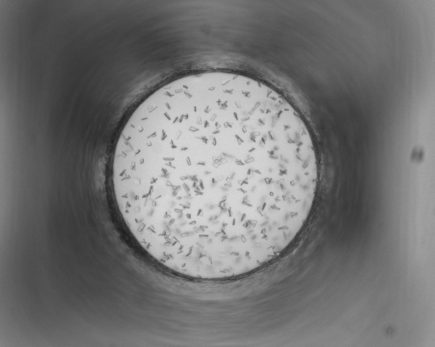 X0000116620010201001081241