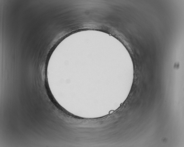 X0000116620011201001081241