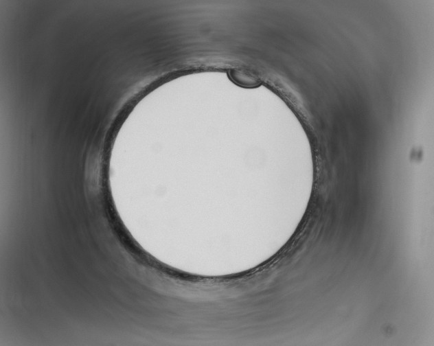 X0000116620012201001081241