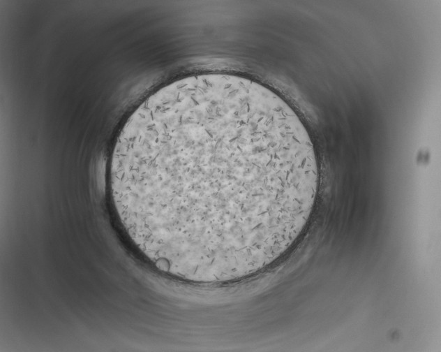 X0000116620014201001081241