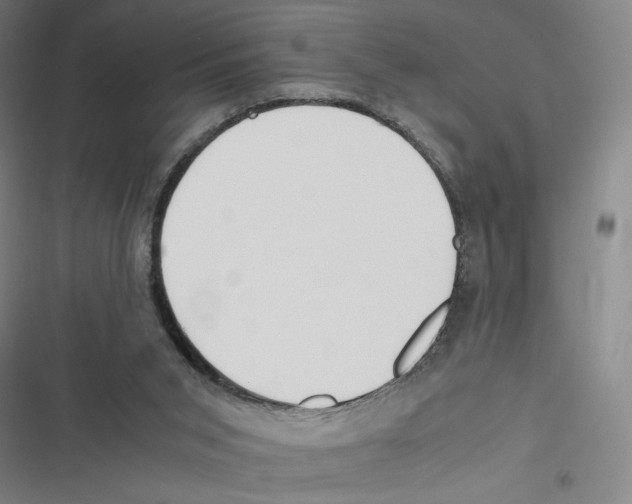 X0000116620015201001081241