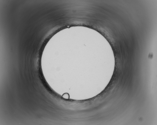 X0000116620016201001081241