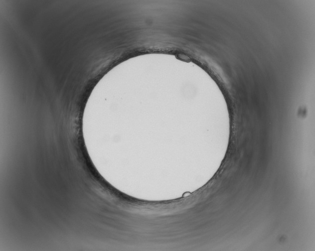 X0000116620017201001081241