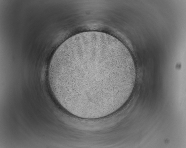 X0000116620018201001081241