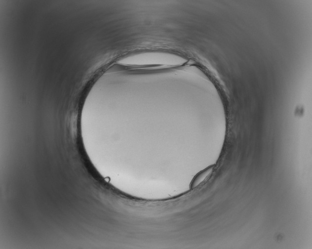 X0000116620019201001081241