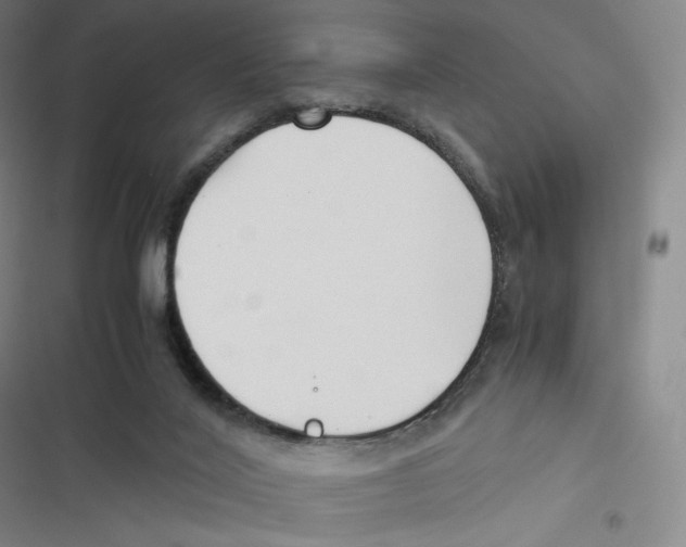 X0000116620020201001081241