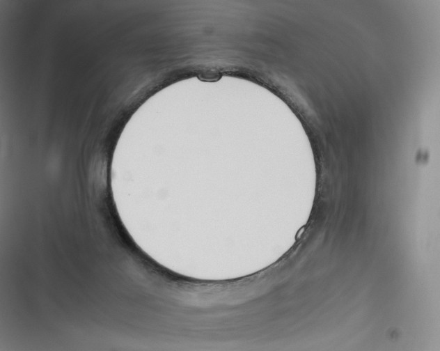 X0000116620021201001081241