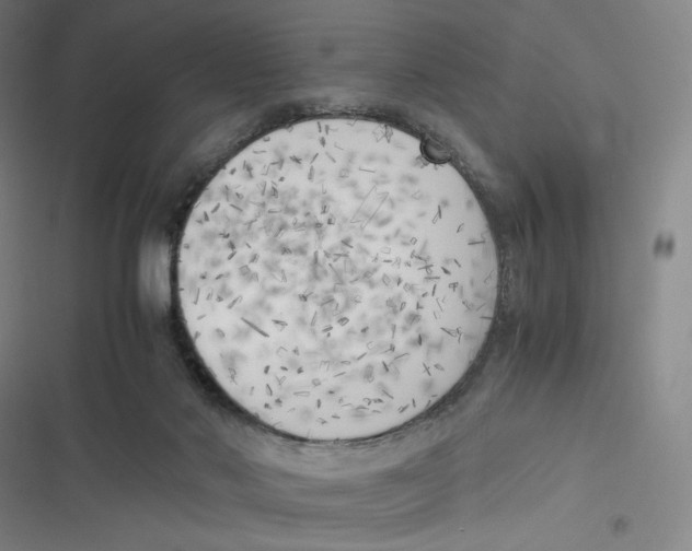 X0000116620022201001081241