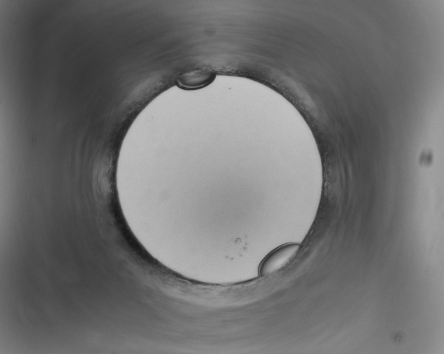 X0000116620023201001081241