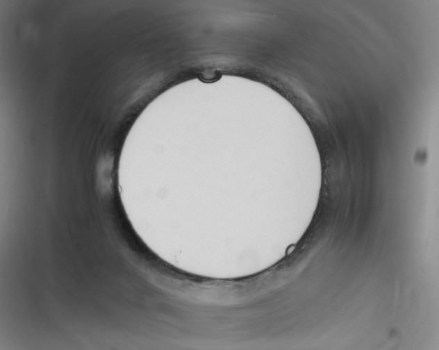 X0000116620024201001081241