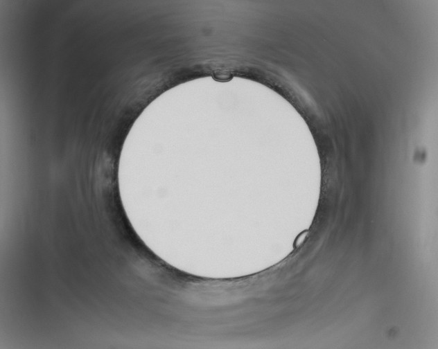 X0000116620025201001081241