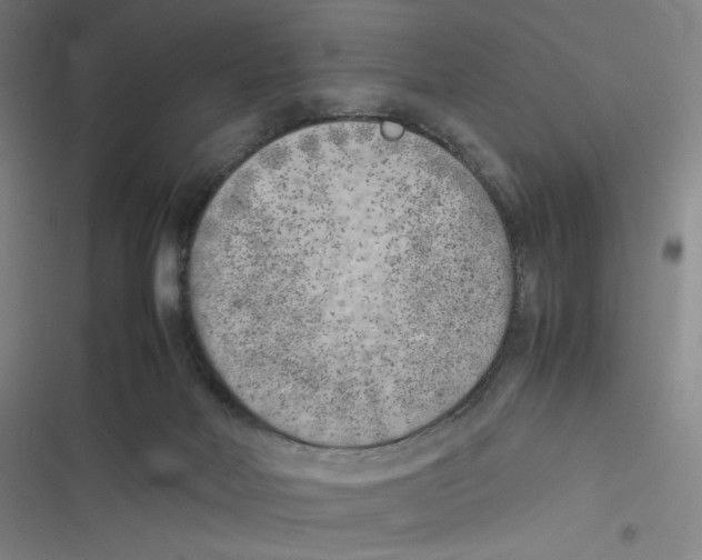 X0000116620026201001081241