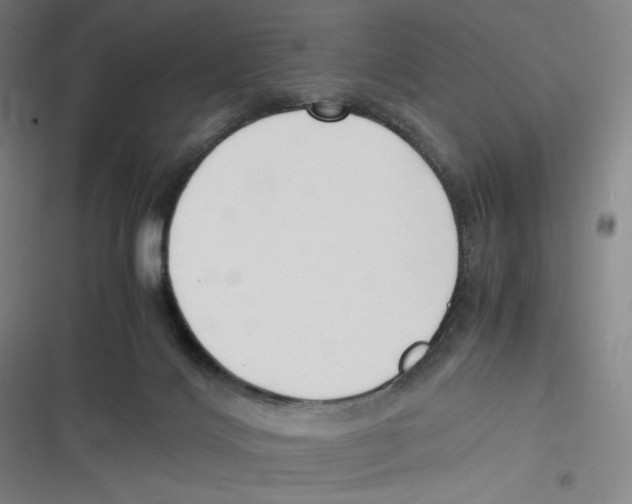 X0000116620028201001081241