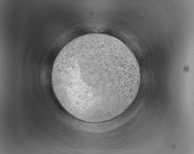 X0000116620030201001081241