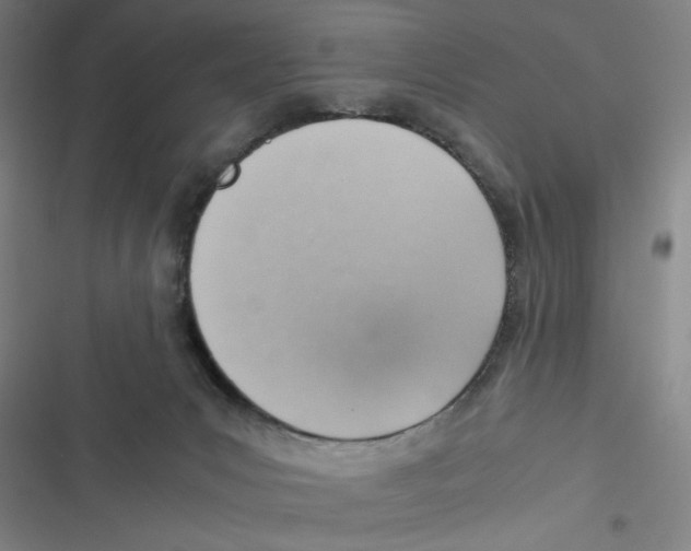 X0000116620031201001081241