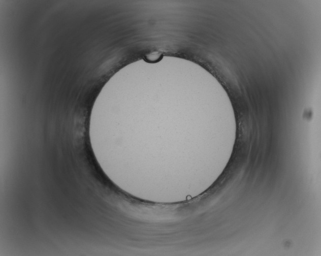 X0000116620032201001081241