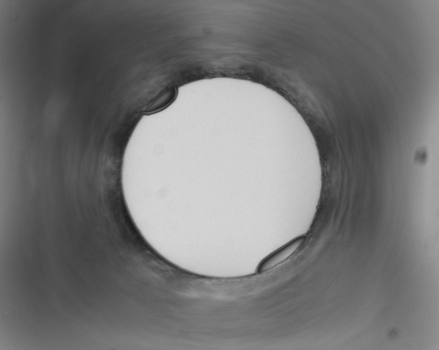 X0000116620033201001081241