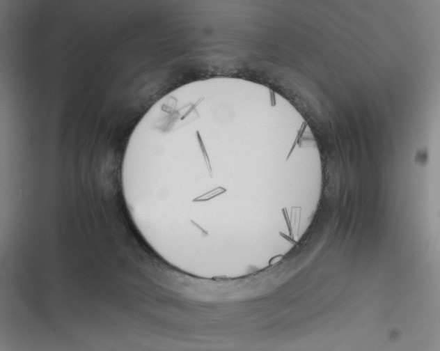 X0000116620034201001081241