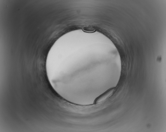 X0000116620035201001081241