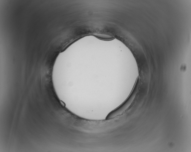 X0000116620037201001081241