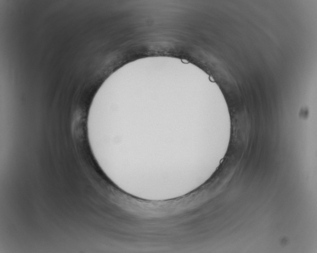 X0000116620038201001081241