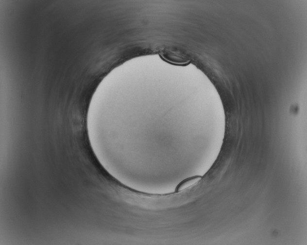 X0000116620039201001081241