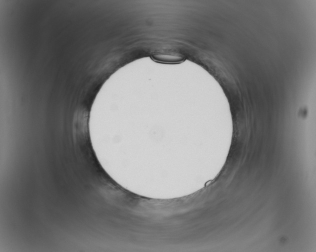 X0000116620041201001081241