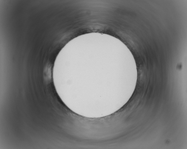 X0000116620042201001081241