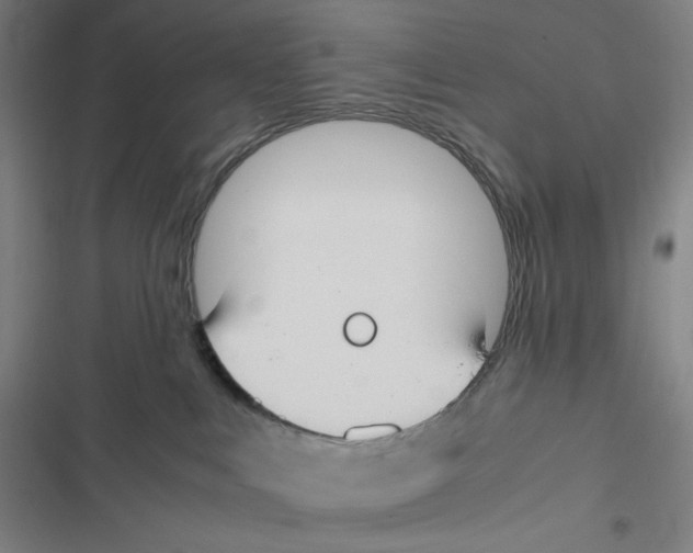 X0000116620043201001081241