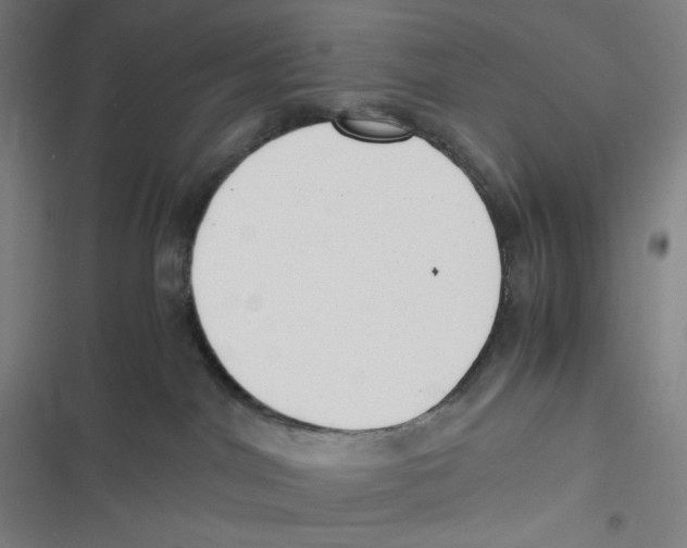 X0000116620044201001081241