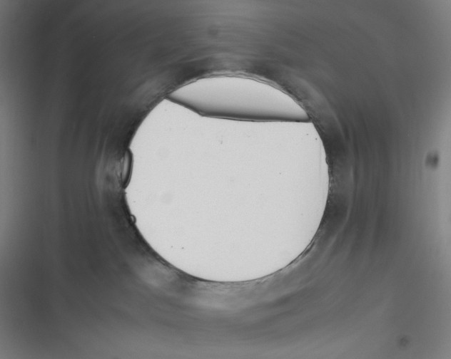 X0000116620045201001081241