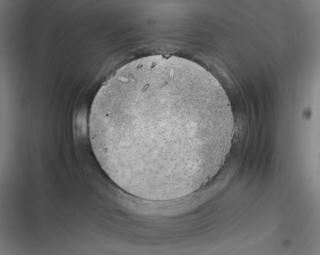 X0000116620046201001081241