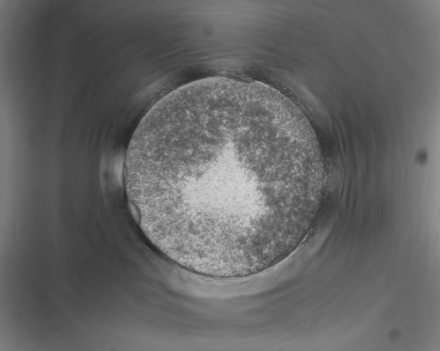 X0000116620047201001081241