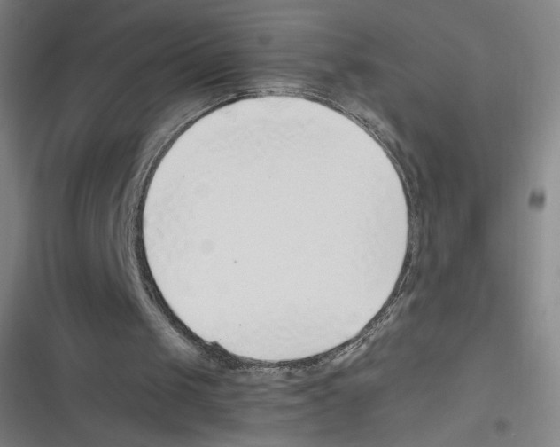 X0000116620049201001081240