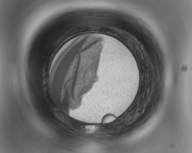 X0000116620050201001081240