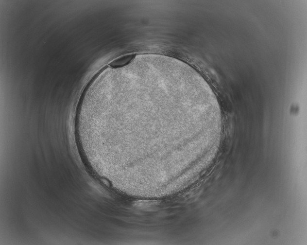 X0000116620051201001081240