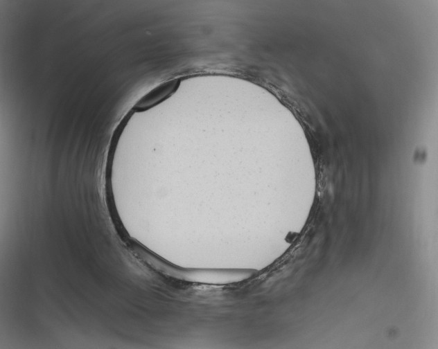 X0000116620052201001081240