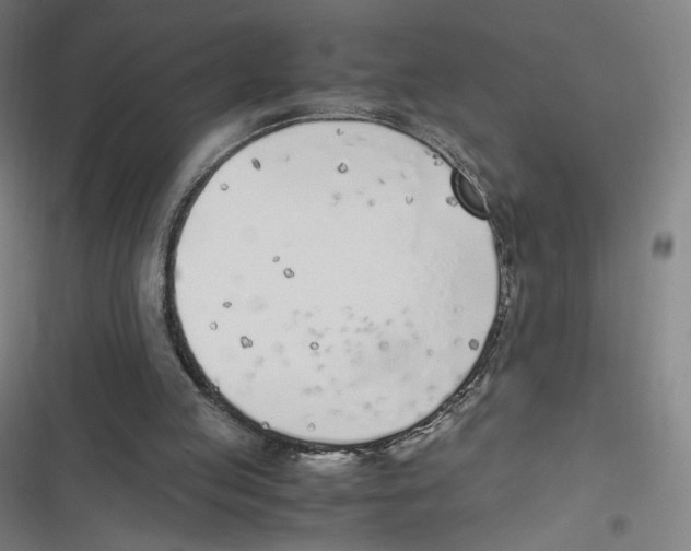 X0000116620053201001081240