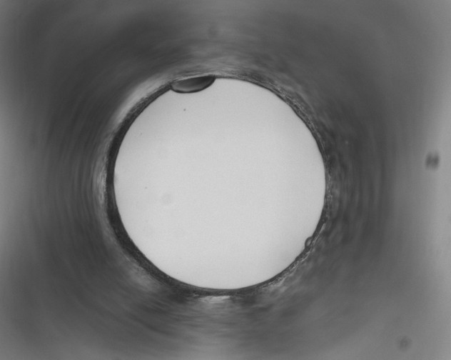 X0000116620054201001081240