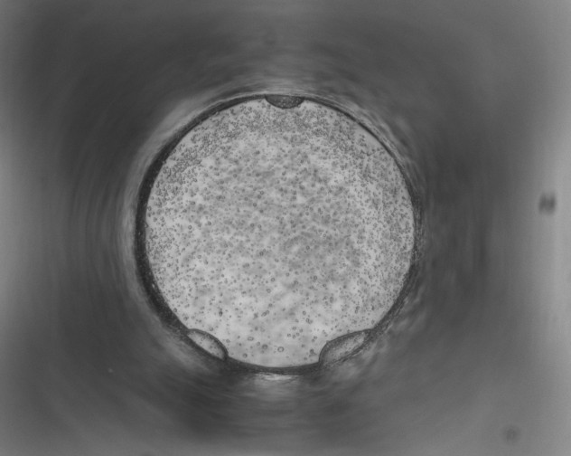 X0000116620055201001081240