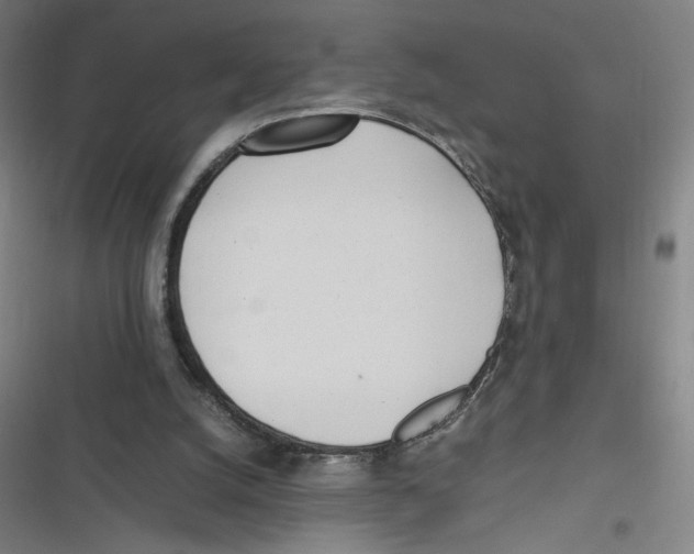 X0000116620056201001081240