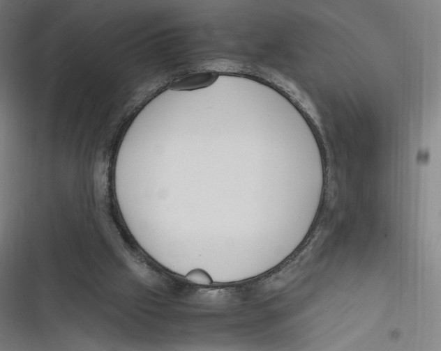 X0000116620057201001081240